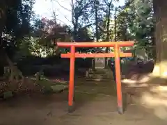 松山神社の鳥居