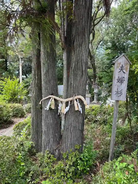 高牟神社(高針)の自然