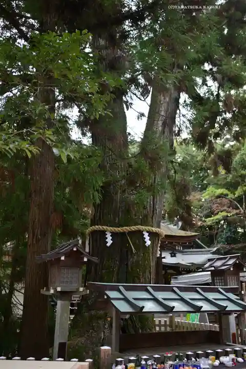 大神神社(奈良県)