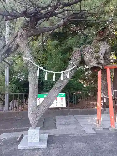 玉村八幡宮の御朱印