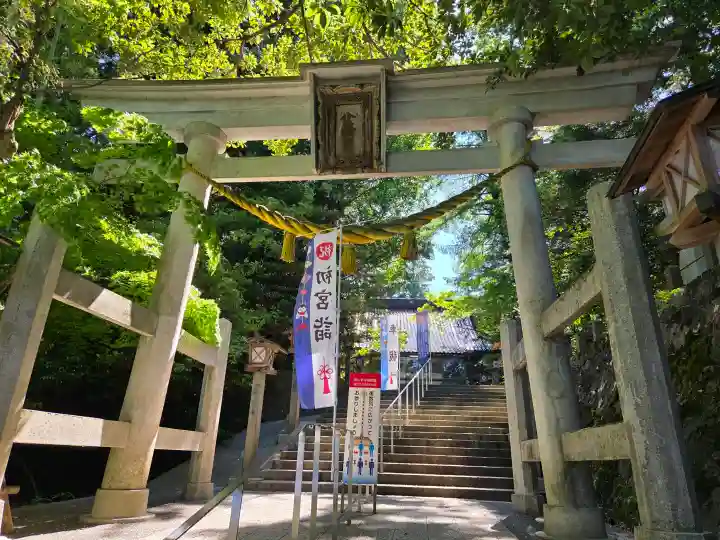脇子八幡宮の{uncategorized: "未分類", other: "その他", undefined: "問題あり", building: "その他建物", grave: "お墓", sacred_gate: "鳥居", guardian: "狛犬", statue: "像", buddha: "仏像", history: "歴史", nature: "自然", garden: "庭園", animal: "動物", pagoda: "塔", temizu: "手水舎", mountain_gate: "山門・神門", sanctuary: "本殿・本堂", subordinate: "末社・摂社", art: "芸術", scenery: "景色", jizo: "地蔵", ema: "絵馬", goshuin: "御朱印", omikuji: "おみくじ", items: "授与品その他", amulet: "お守り", goshuincho: "御朱印帳", eats: "食事", festival: "お祭り", votive_dance: "神楽", shichigosan: "七五三参", wedding: "結婚式", experience: "体験その他", initially: "初詣", around: "周辺", anti_infection: "感染症対策"}