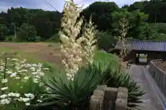 大六天麻王神社の庭園