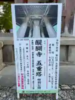 醍醐寺(京都府)