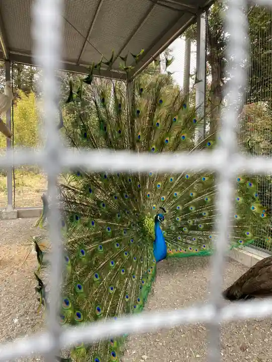 進雄神社(群馬県)