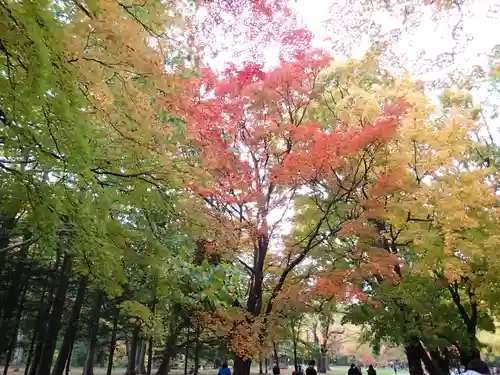 北海道神宮の自然