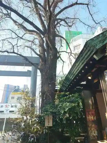 波除神社（波除稲荷神社）(東京都)