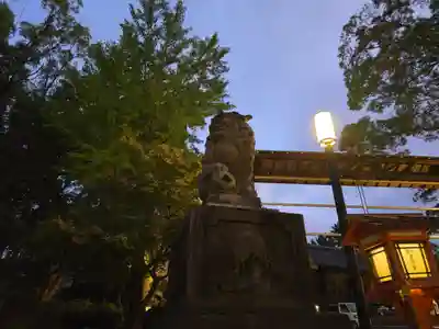 八坂神社(祇園さん)の狛犬