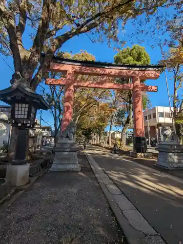 武蔵一宮氷川神社(埼玉県)
