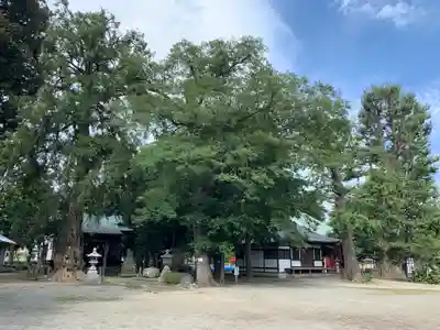 飯泉八幡神社のその他建物