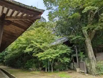 法界寺(日野薬師)(京都府)