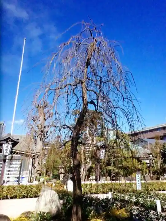 常性寺(東京都)