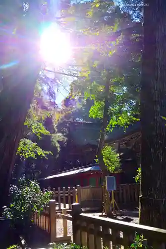 鹿島神宮(茨城県)