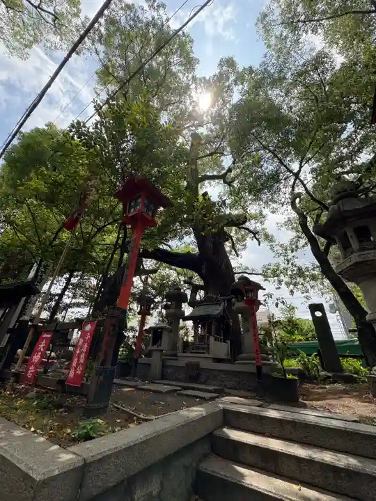 若一神社(京都府)