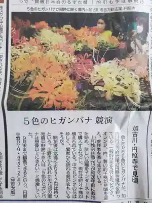 円照寺(兵庫県)