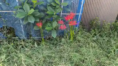 愛宕神社の自然