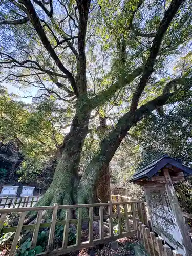 高良大社(福岡県)