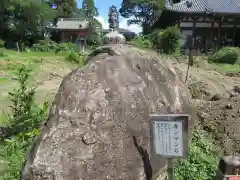 般若寺 ❁﻿コスモス寺❁(奈良県)