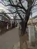 田端神社(東京都)