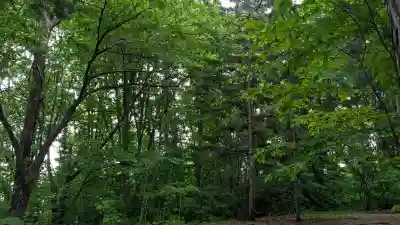 上川神社(北海道)