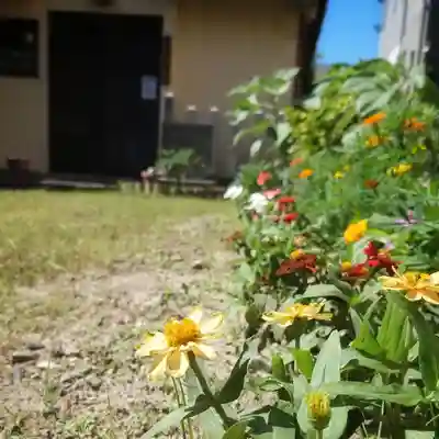 秋葉神社の自然