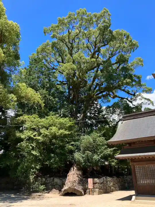 與止日女神社(佐賀県)