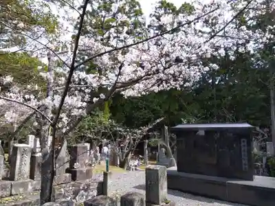 くろ谷 金戒光明寺(京都府)