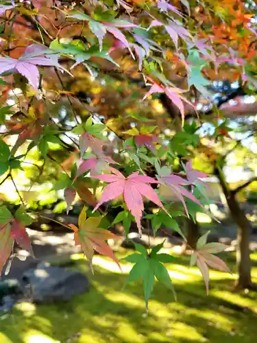 長仙寺(東京都)