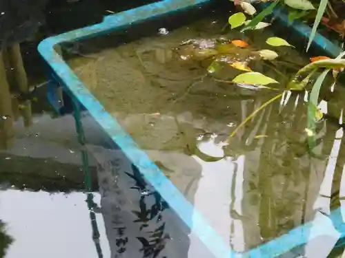 尾張猿田彦神社の庭園