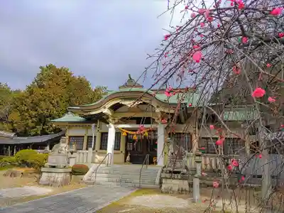 真宮神社の自然