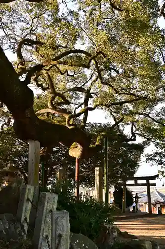 天満神社(愛媛県)