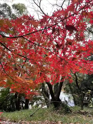 恵蘇八幡宮の自然