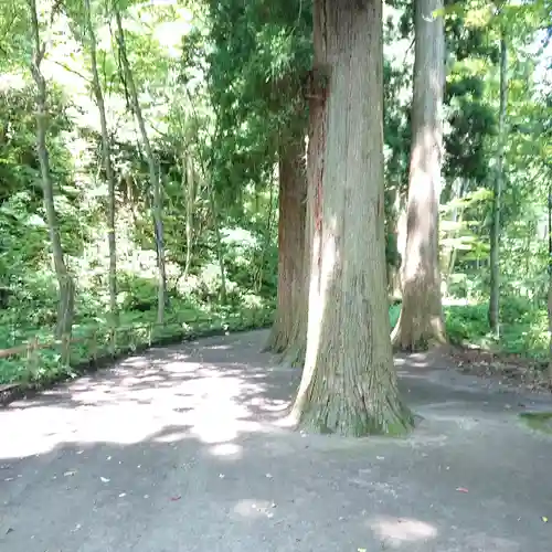 十和田神社の自然