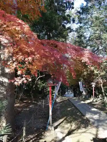 間々田八幡宮のその他建物
