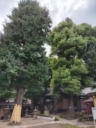 氷川神社の庭園