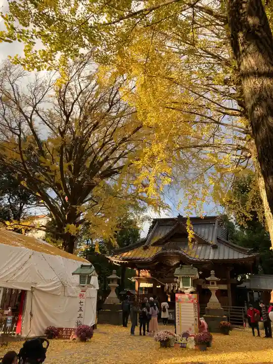 田無神社の本殿・本堂