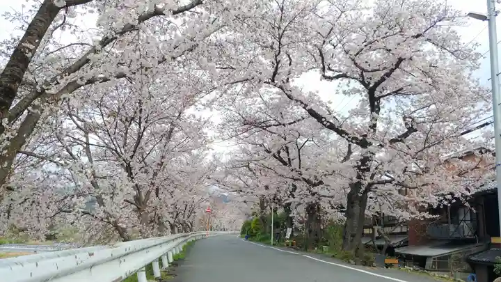 賀茂別雷神社(上賀茂神社)の自然