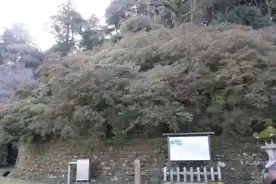 高良大社(福岡県)