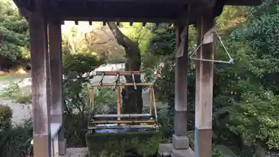 達磨寺の手水舎