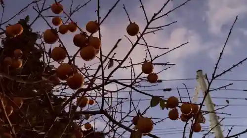 七重浜海津見神社(北海道)