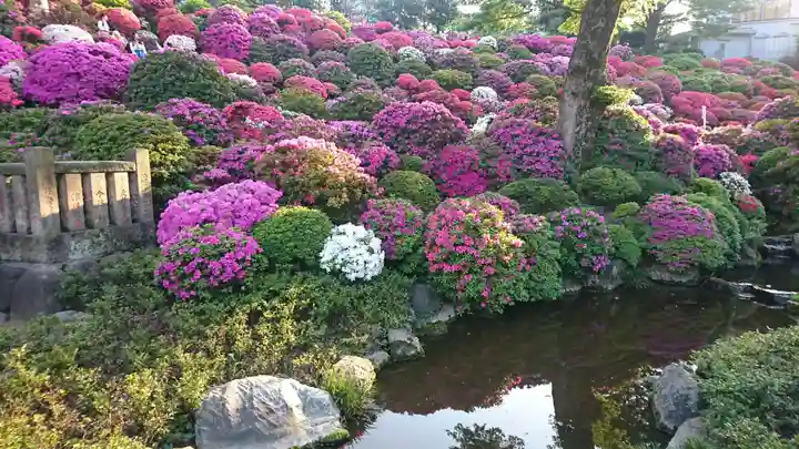 根津神社(東京都)