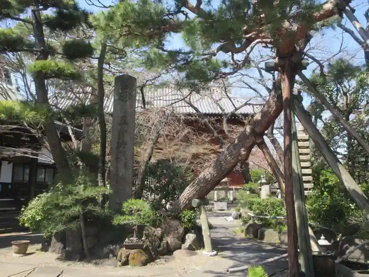 養玉院如来寺(東京都)