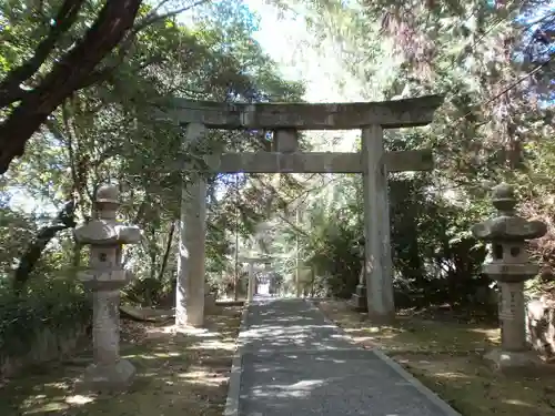 筑紫神社の鳥居