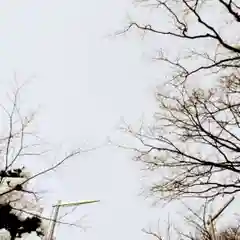 彌彦神社　(伊夜日子神社)(北海道)