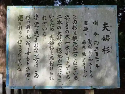 鎌数伊勢大神宮(千葉県)