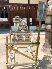 柴籬神社の狛犬