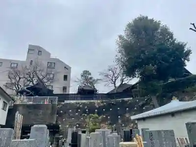 龍泉院の{uncategorized: "未分類", other: "その他", undefined: "問題あり", building: "その他建物", grave: "お墓", sacred_gate: "鳥居", guardian: "狛犬", statue: "像", buddha: "仏像", history: "歴史", nature: "自然", garden: "庭園", animal: "動物", pagoda: "塔", temizu: "手水舎", mountain_gate: "山門・神門", sanctuary: "本殿・本堂", subordinate: "末社・摂社", art: "芸術", scenery: "景色", jizo: "地蔵", ema: "絵馬", goshuin: "御朱印", omikuji: "おみくじ", items: "授与品その他", amulet: "お守り", goshuincho: "御朱印帳", eats: "食事", festival: "お祭り", votive_dance: "神楽", shichigosan: "七五三参", wedding: "結婚式", experience: "体験その他", initially: "初詣", around: "周辺", anti_infection: "感染症対策"}