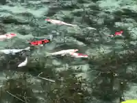 根道神社(岐阜県)