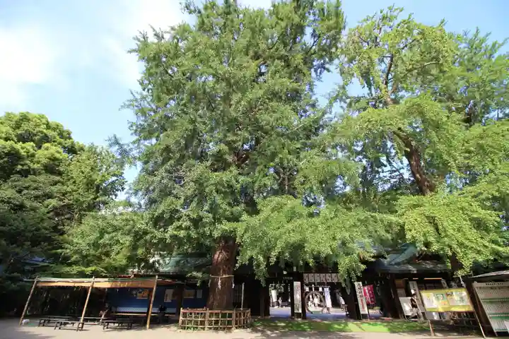 大宮八幡宮のその他建物