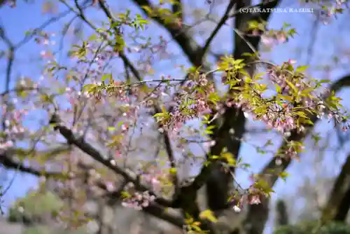 密藏院(埼玉県)