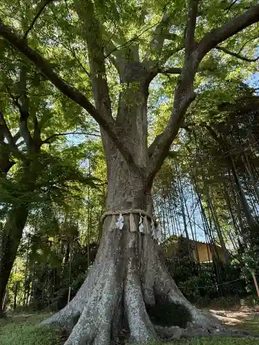 水戸八幡宮(茨城県)